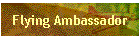 Flying Ambassador