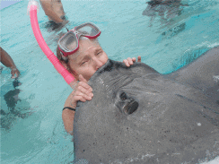 Stingray City Snorkel Trip/Lunch - P/Person